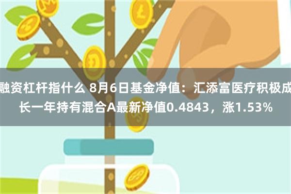 融资杠杆指什么 8月6日基金净值：汇添富医疗积极成长一年持有混合A最新净值0.4843，涨1.53%