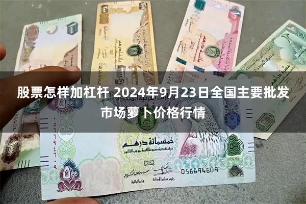 股票怎样加杠杆 2024年9月23日全国主要批发市场萝卜价格行情